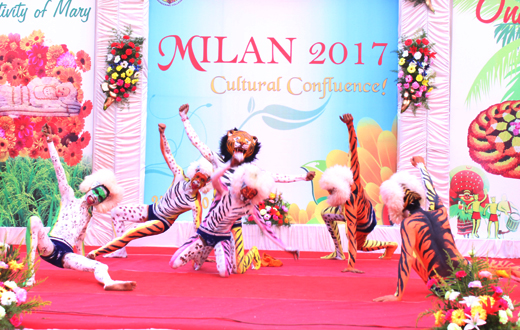 SJEC Millan 2017